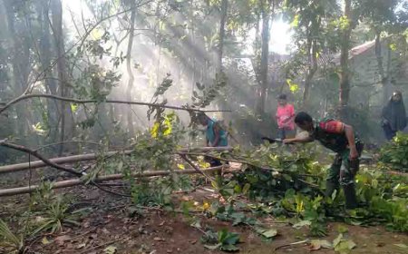 Babinsa Koramil 09 Susukan Bersama Warga Melaksanakan Kerja Bakti Penebangan Pohon 