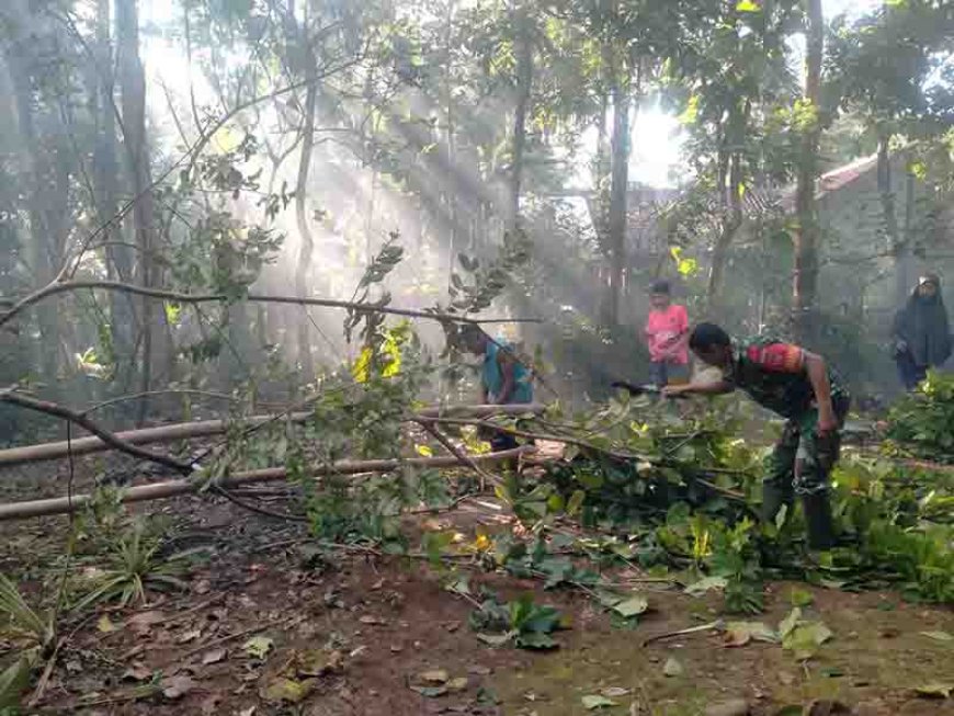 Babinsa Koramil 09 Susukan Bersama Warga Melaksanakan Kerja Bakti Penebangan Pohon 