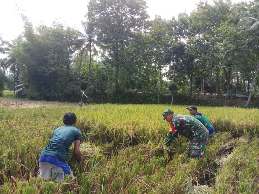 BABINSA SELALU BERSAMA WARGA MASYARAKAT