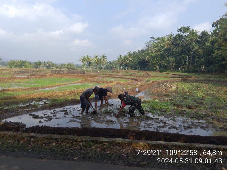 BABINSA BERSAMA PETANI DI DESA BINAAN