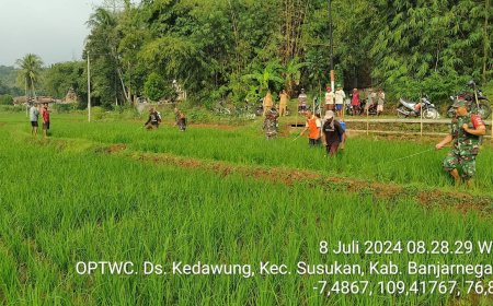 ANTISIPASI HAMA, BABINSA KORAMIL 09/SUSUKAN  BERSAMA BPP, PETANI LAKUKAN PENYEMPROTAN PADI