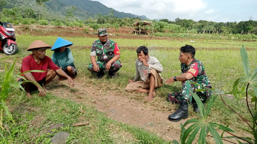 Babinsa Koramil 09/Susukan Komsos Dengan Kelompok Tani Sumber Rejeki Di Wilayah Binaan