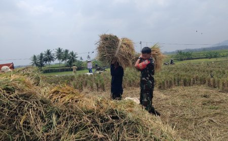 BABINSA MEMBUAT WARGA SELALU SEMANGAT DALAM BIDANG PERTANIAN