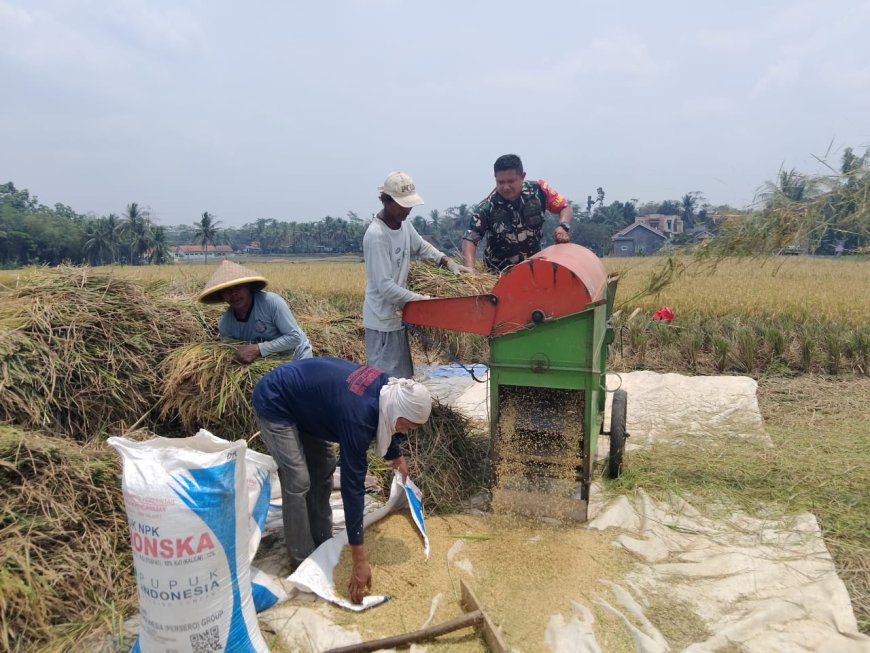 BABINSA SUKSESKAN KETAHANAN PANGAN BERSAMA WARGA BINAAN