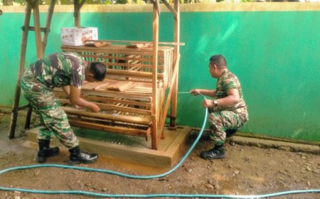 BABINSA KORAMIL 09 SUSUKAN LAKSANAKAN PERAWATAN AYAM KAMPUNG PETELUR