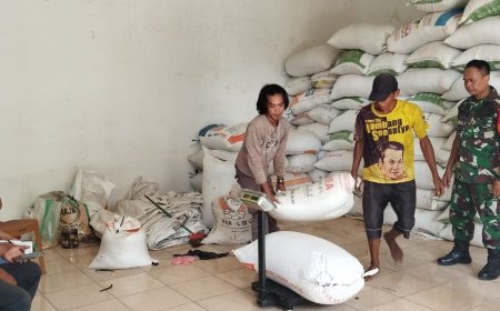 BABINSA KORAMIL 09/SUSUKAN MELAKSANAKAN PENDAMPINGAN BULOG SERAP GABAH PEYANI DI DESA BINAAN.