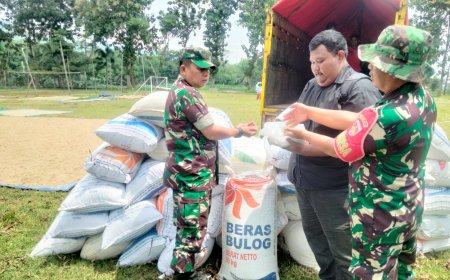 DANRAMIL 09/SUSUKAN TERJUN LANGSUNG DAMPINGI SERAP GABAH