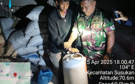 BABINSA SELALU SIAP MELAKSANAKAN PENDAMPINGAN PENYERAPAN GABAH DI DESA BINAAN