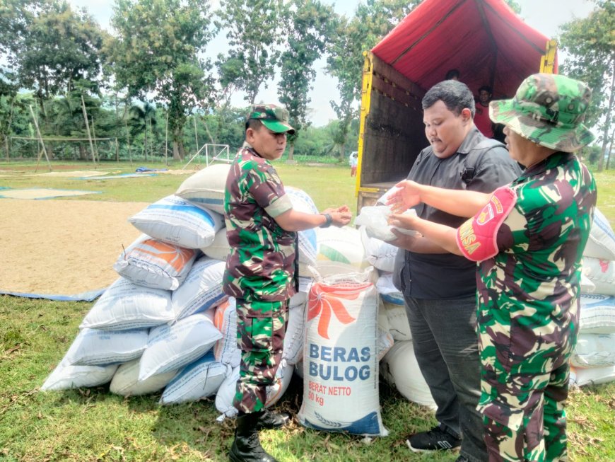 DANRAMIL 09/SUSUKAN TERJUN LANGSUNG DAMPINGI SERAP GABAH