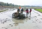 PERSIAPAN LAHAN TANAMAN PADI, BABINSA IKUT SERTA TRAKTOR BERSAMA DENGAN PETANI"
