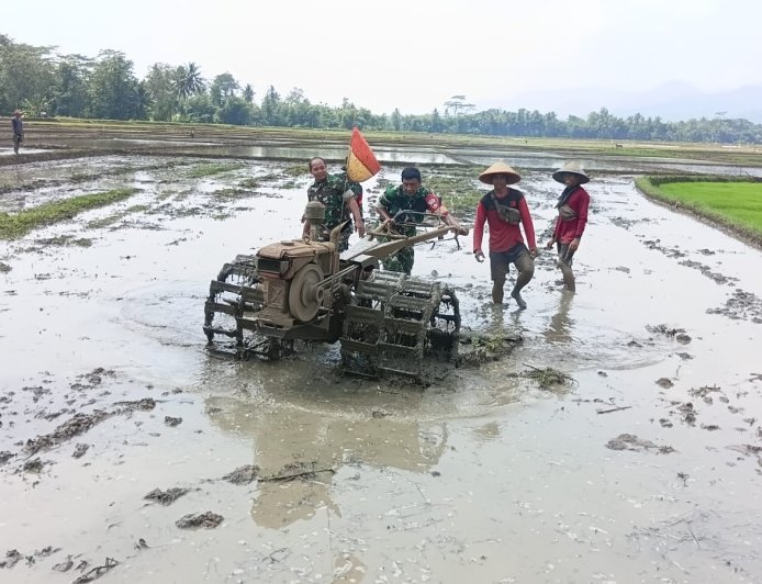 PERSIAPAN LAHAN TANAMAN PADI, BABINSA IKUT SERTA TRAKTOR BERSAMA DENGAN PETANI"